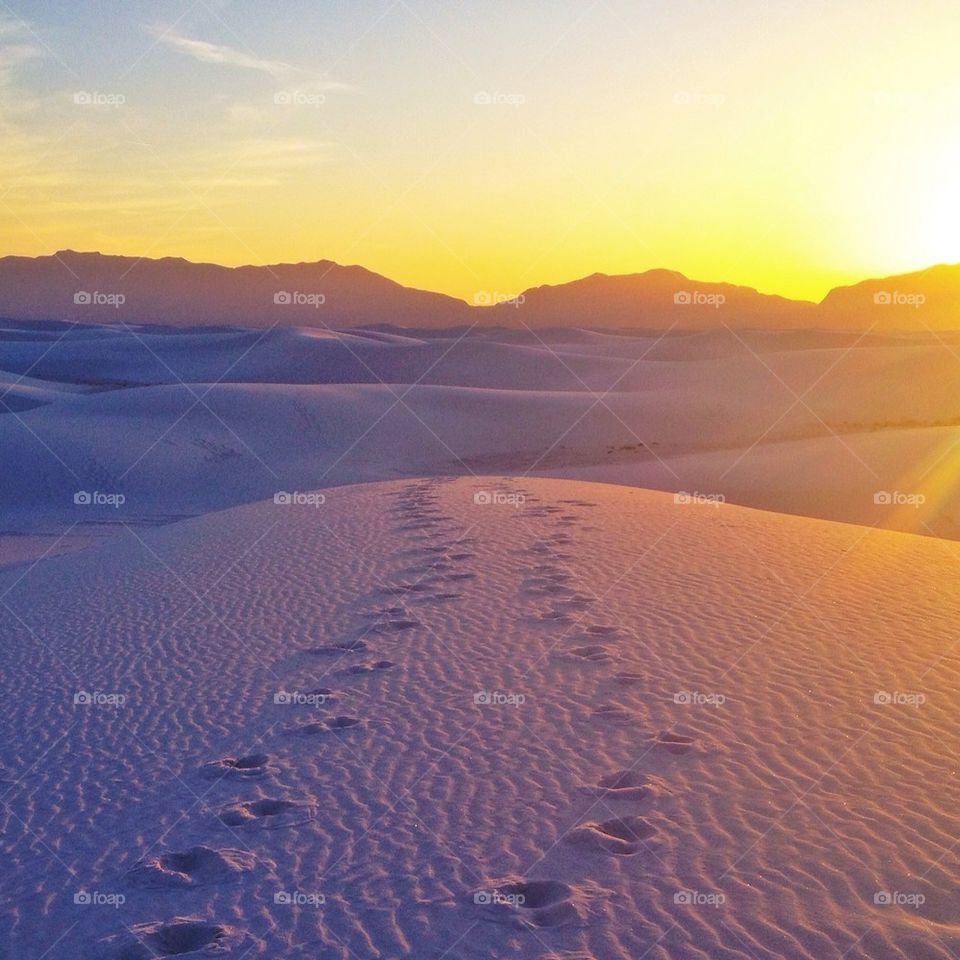 Footprints in the sand