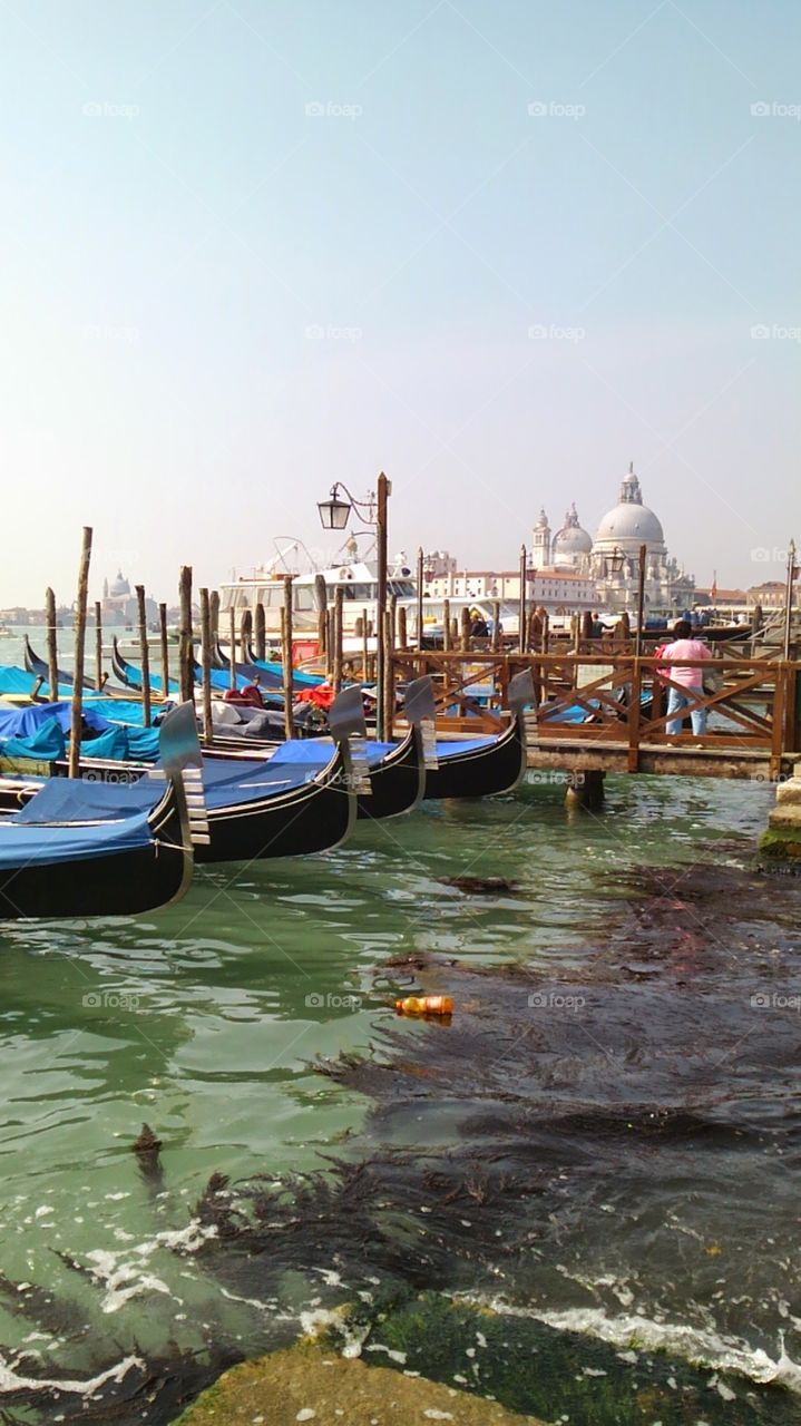 Port of Venice. Italy