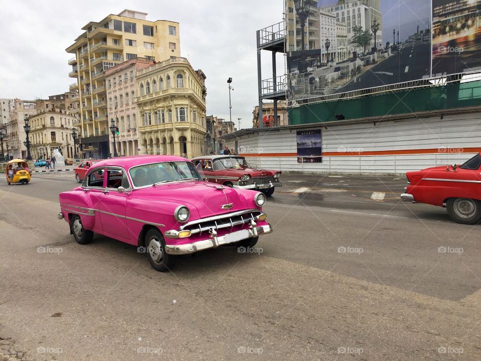 Color: Pink - A classic, vintage car from the 1950's, painted hot pink  rolls down the waterfront in Havana de Cuba