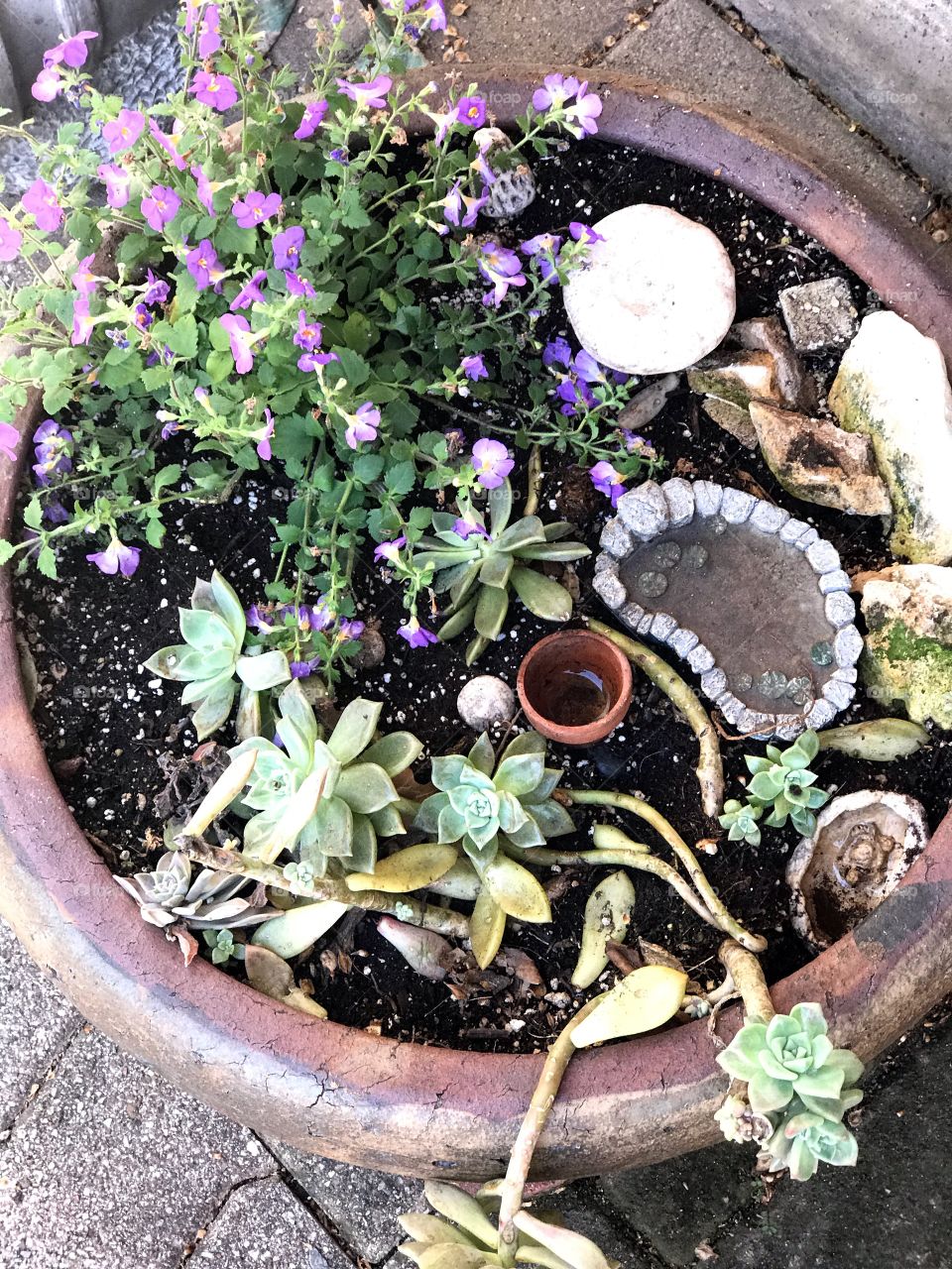 Small garden