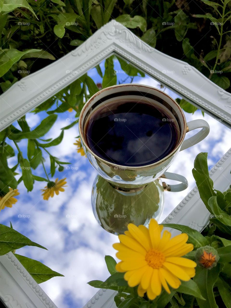 Coffee in the nature