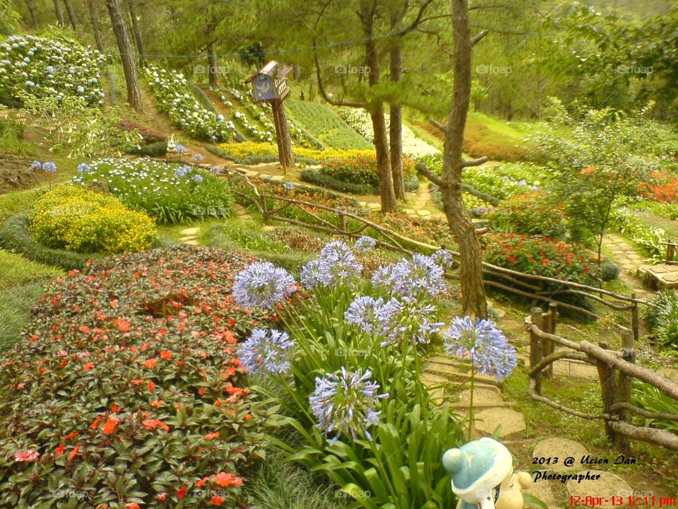 Flower Garden-Vietnam 越南公园. Alots of flowers surrounding us. 
浪花一朵朵。