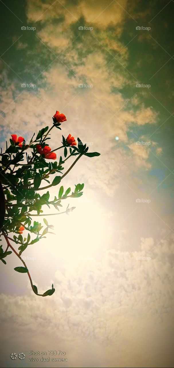 #today #love #instagram #instagood #like #follow #photography #life #photooftheday #me #happy #picoftheday #beautiful #instadaily #nature #fashion #photo #art #likeforlikes #smile #motivation #myself #now #style #day #selfie #music #insta #l #bhfyp