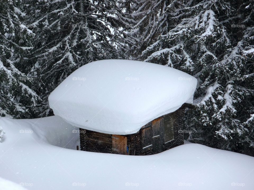 House covering with snow