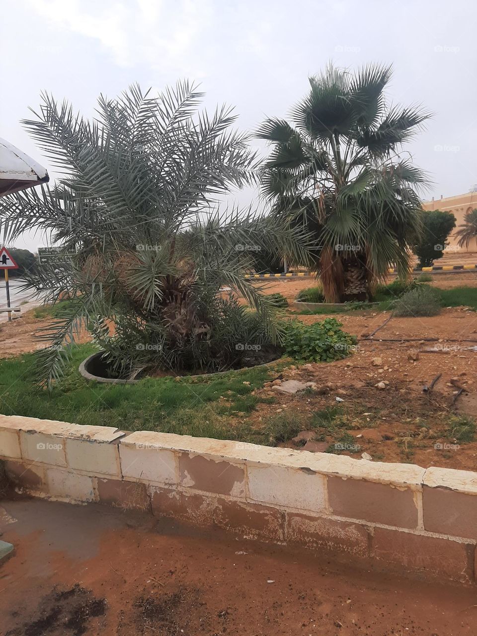 Please help me, I am very poor, I need your support and God is in need