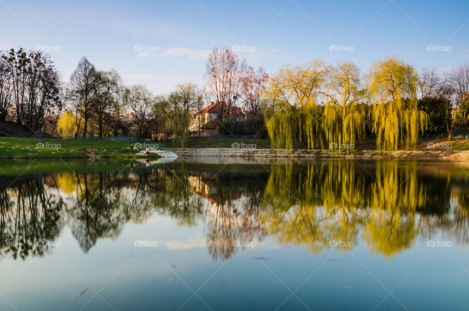 city park with lake in the spring season