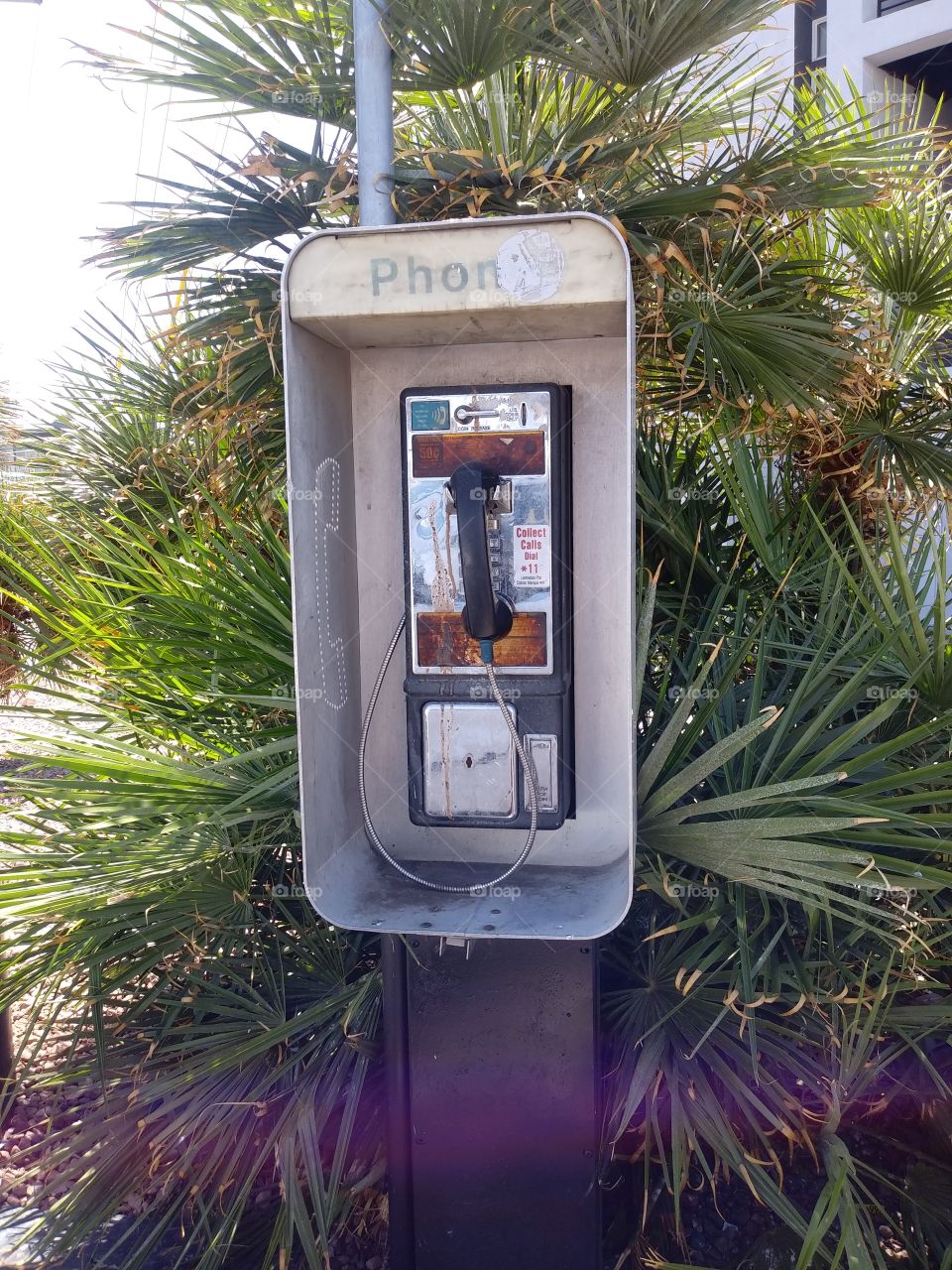 Rare pay phone sighting