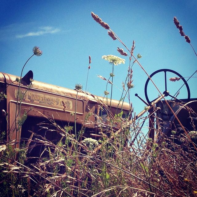 tractor in the field