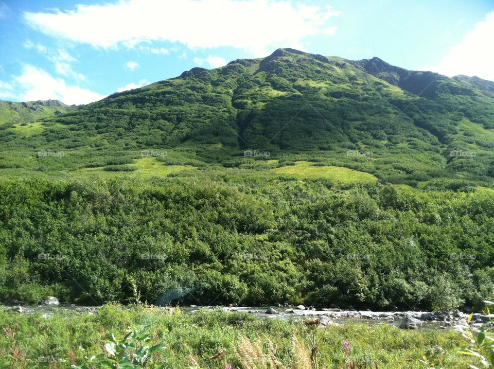 Grassy mountain in Alaska