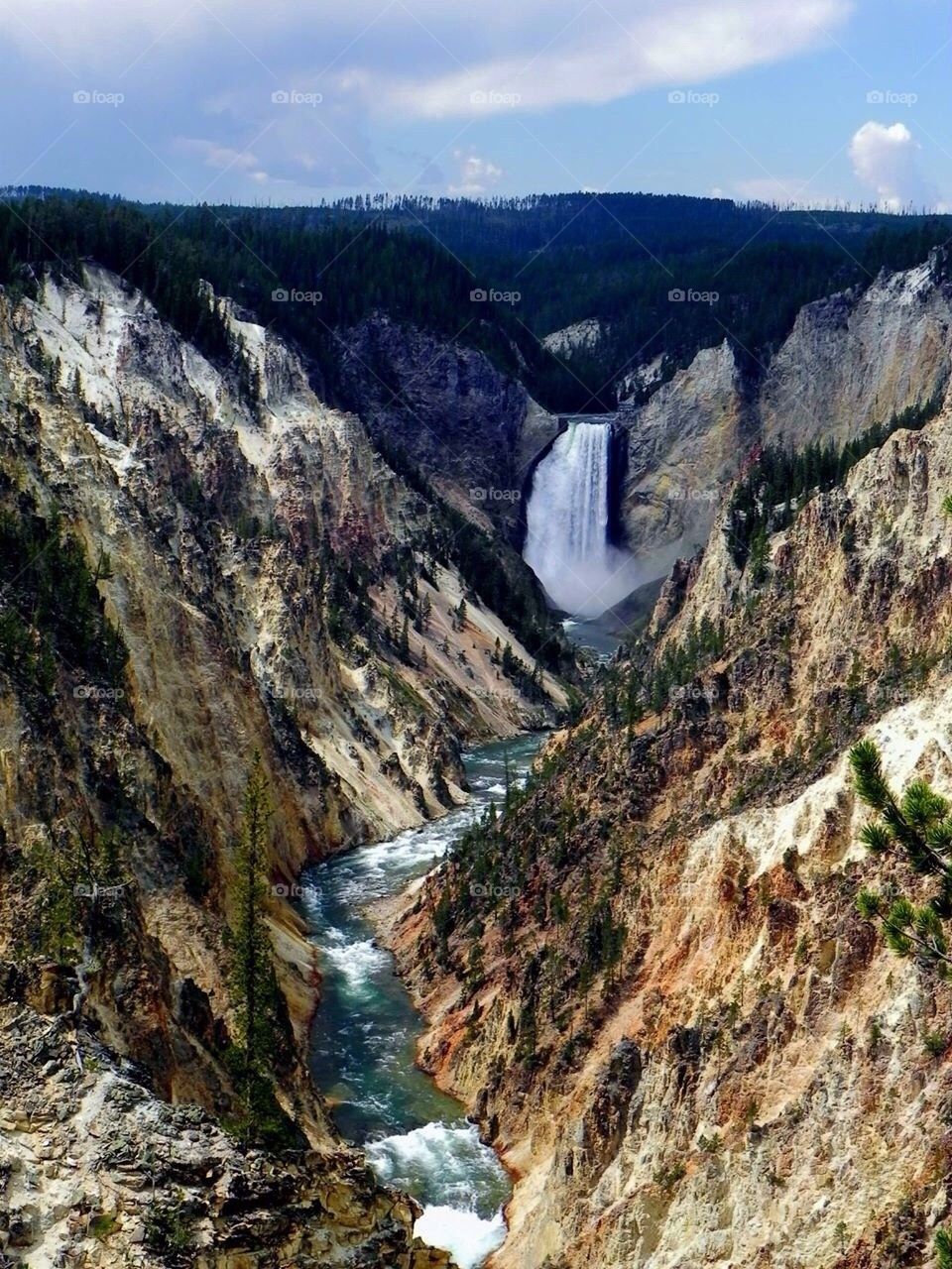 Grand Canyon of Yellowstone 