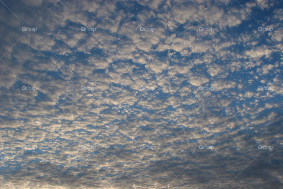 sky blue white pattern by kshapley