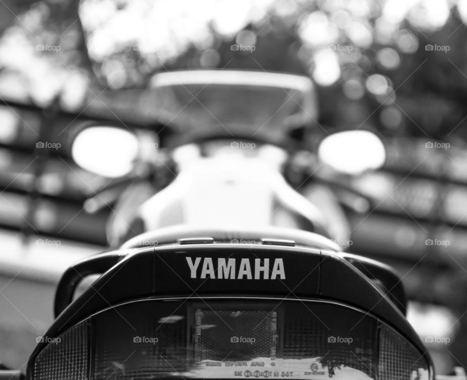 Yamaha motorcycle photographed from behind