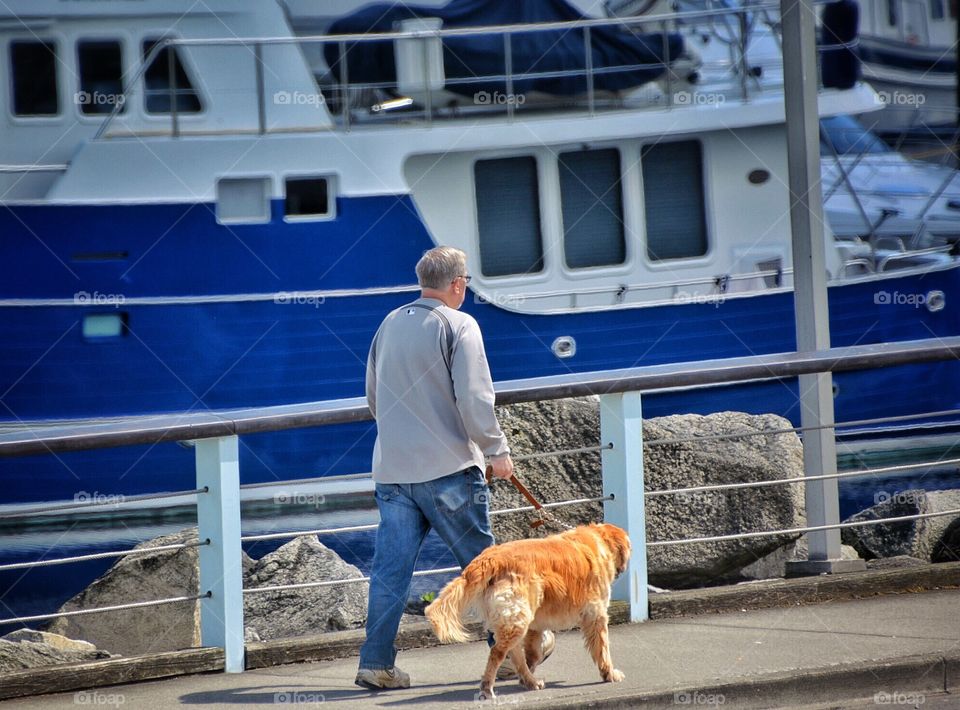 Walking the dog in the marina