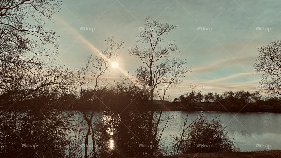 Before cloud bank moved into this area skies were clear anticipation of a beautiful sunset shore trees and shrubs . 
