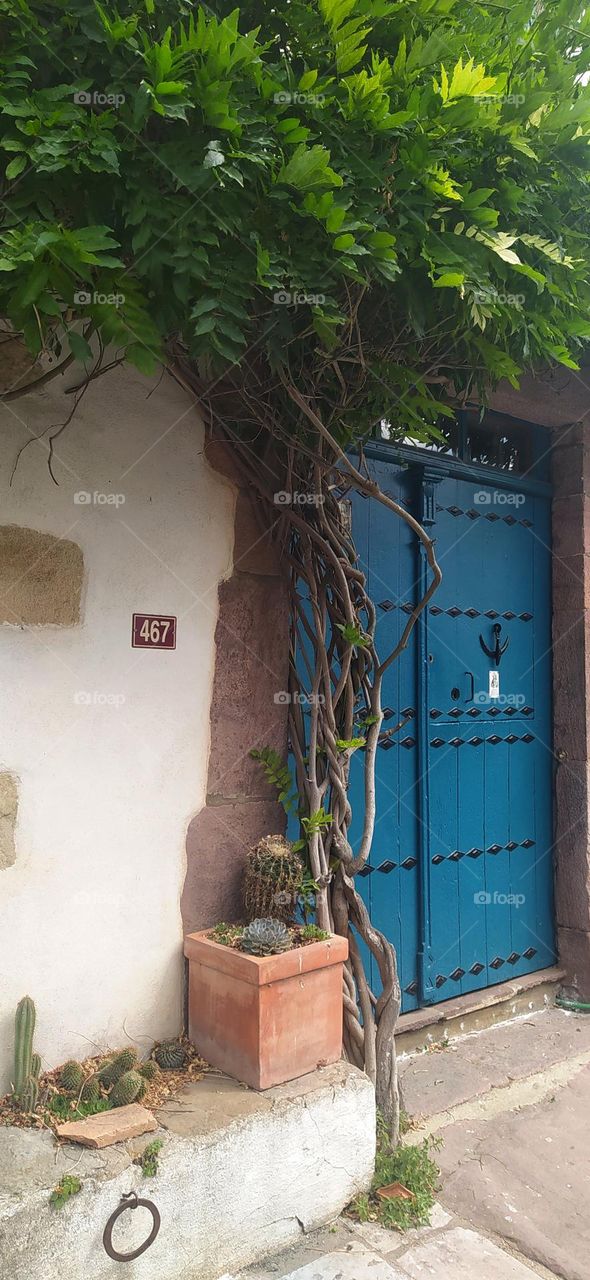 front door of a Basque village house surrounded by vegetation