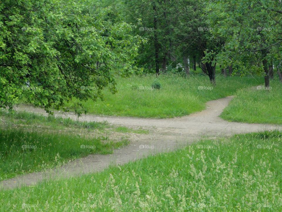 crossroads green landscape in the park symbolism