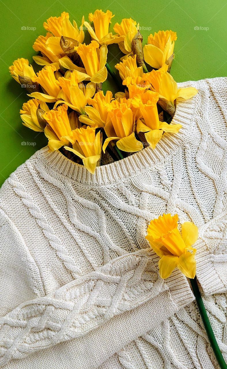 Cozy Spring 💛💚