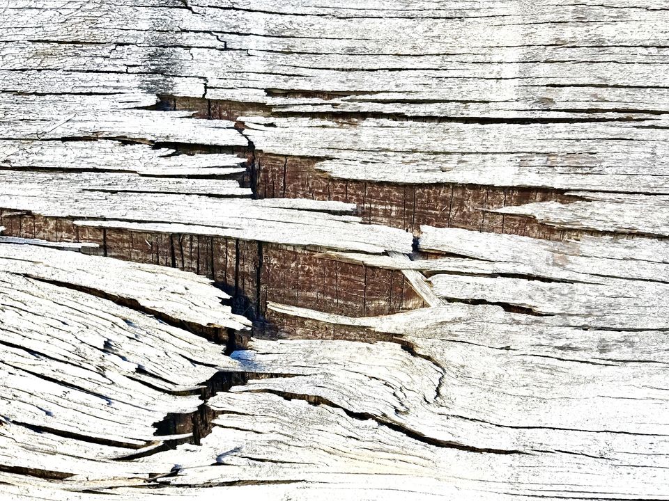 Background of white weathered wood
