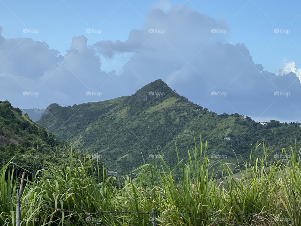 The top of the mountain 