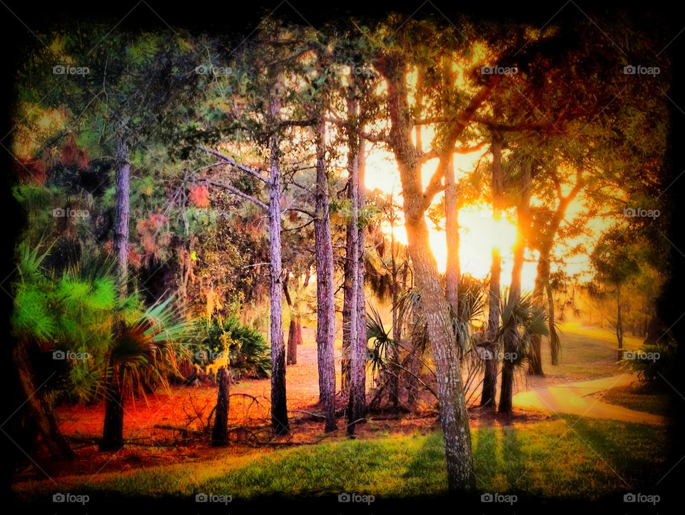 colors sunset golf course flagler beach by mushjet