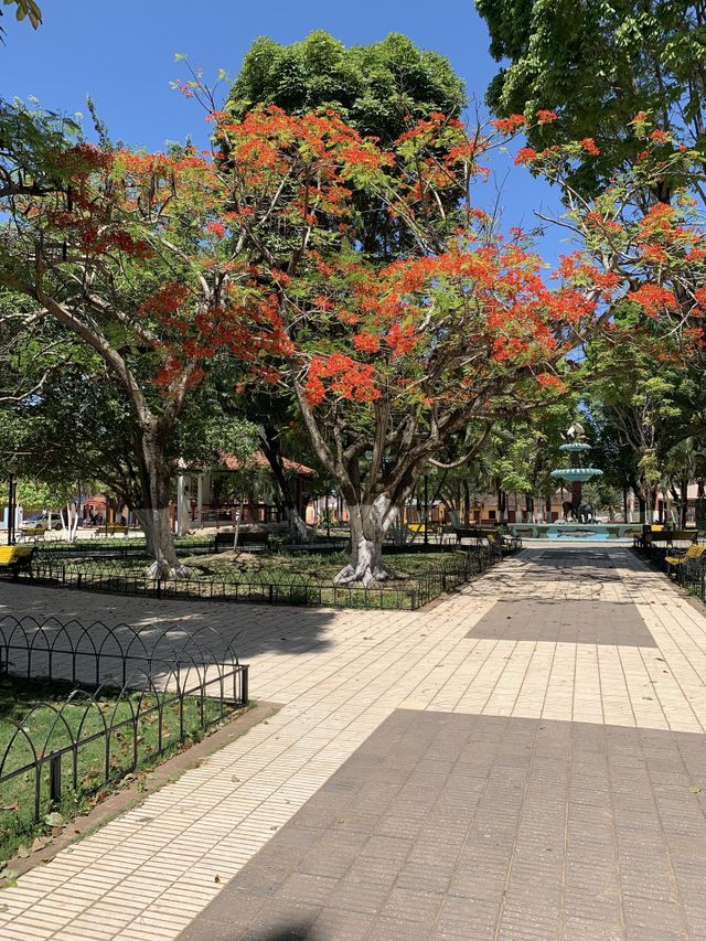Maravilloso