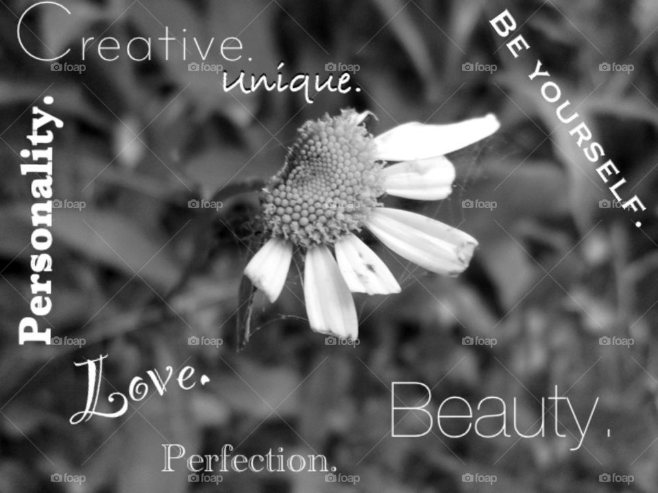 Used my own picture that I took to create this :)