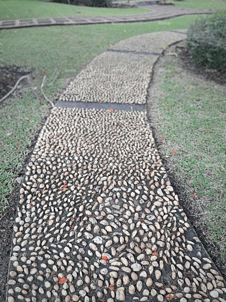 stone walkway in the park
