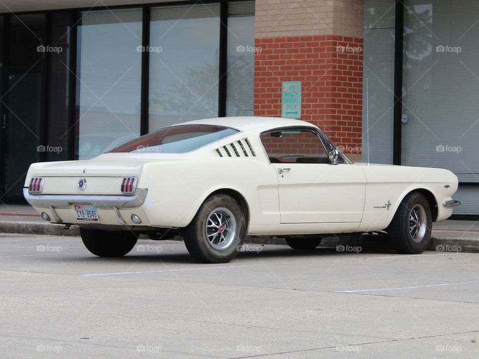 Fastback