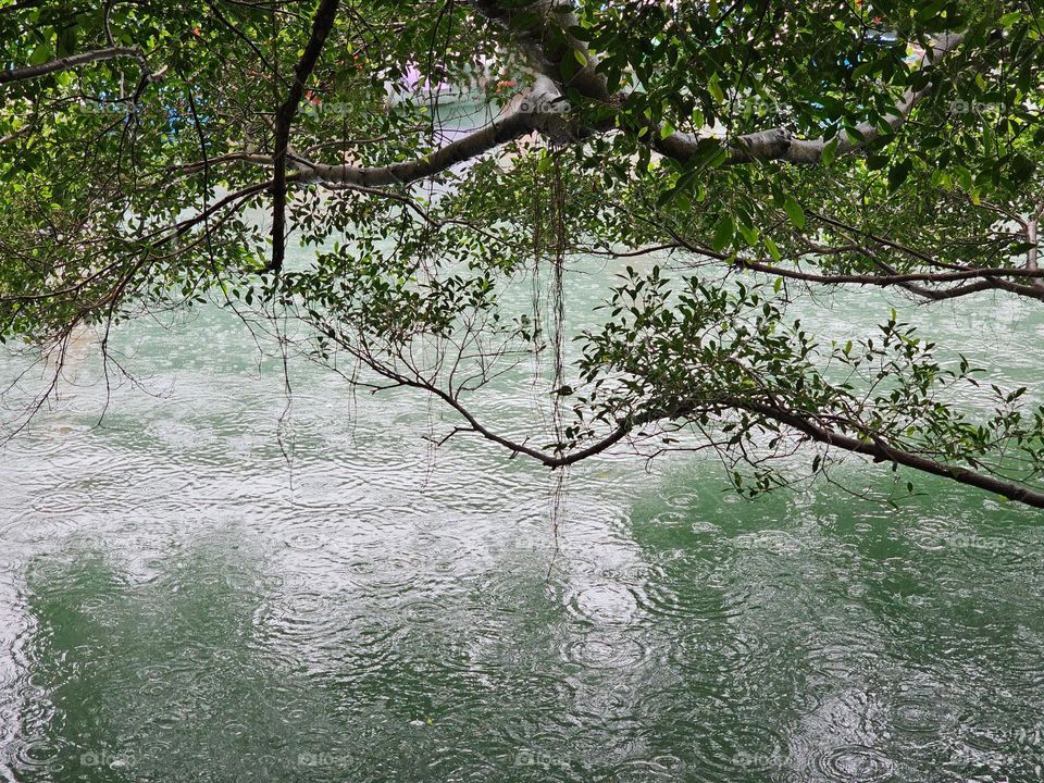 Rain dropping into the water by the promenade