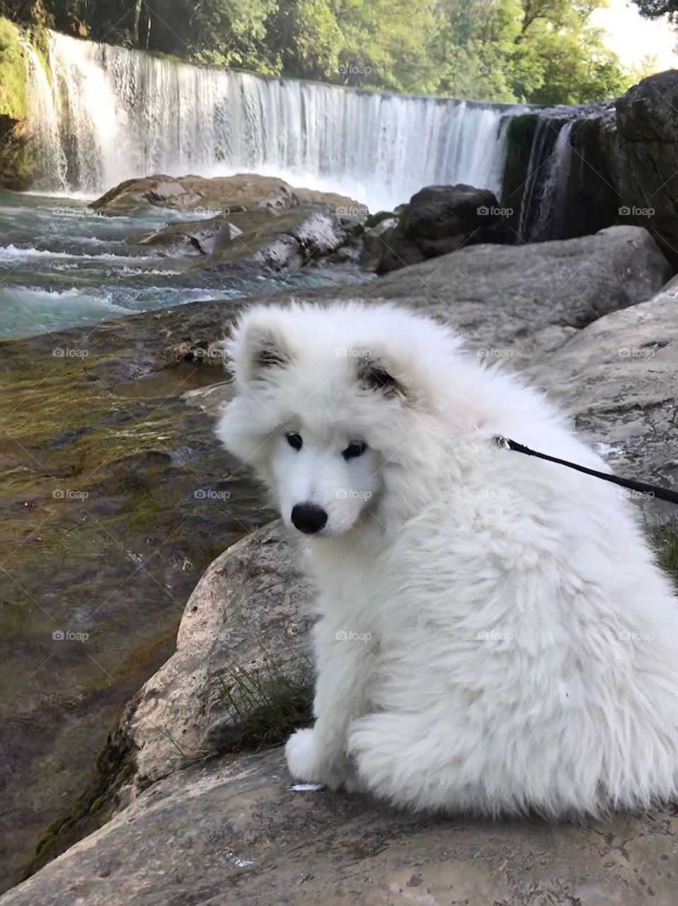 olaf et la cascade 😊