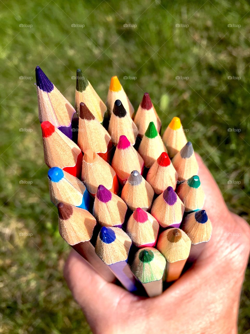Human hand holding bunch of colorful pencil