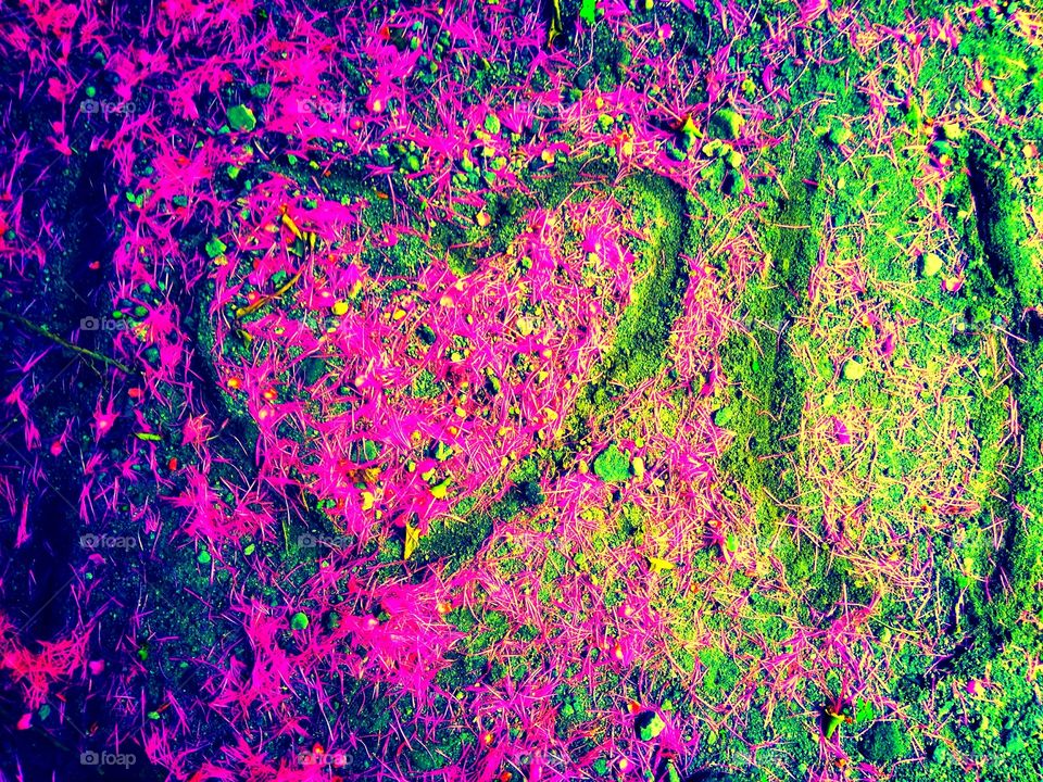 Valentines Day, I Love You