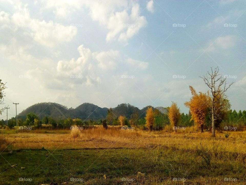 mountain,sky,field,landscape
