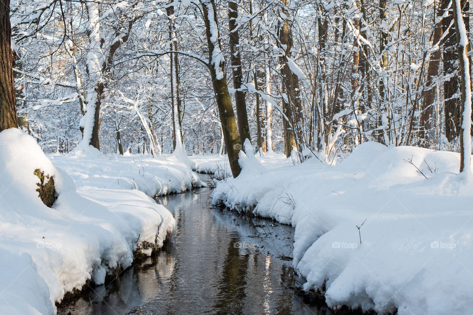 River in Munich
Nymphenburg park woods 