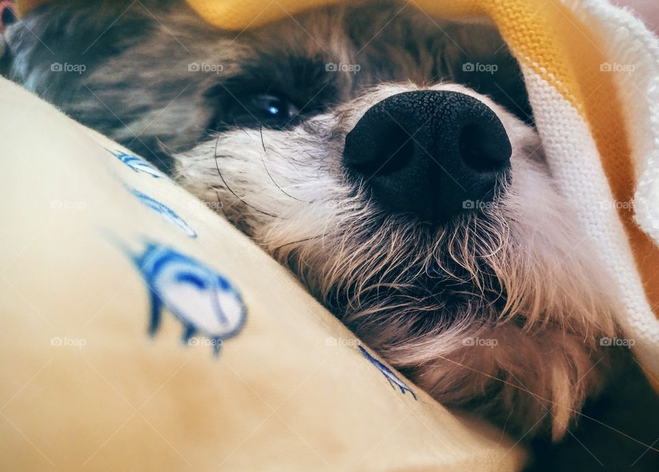 not participating in today. please. and thankyou.