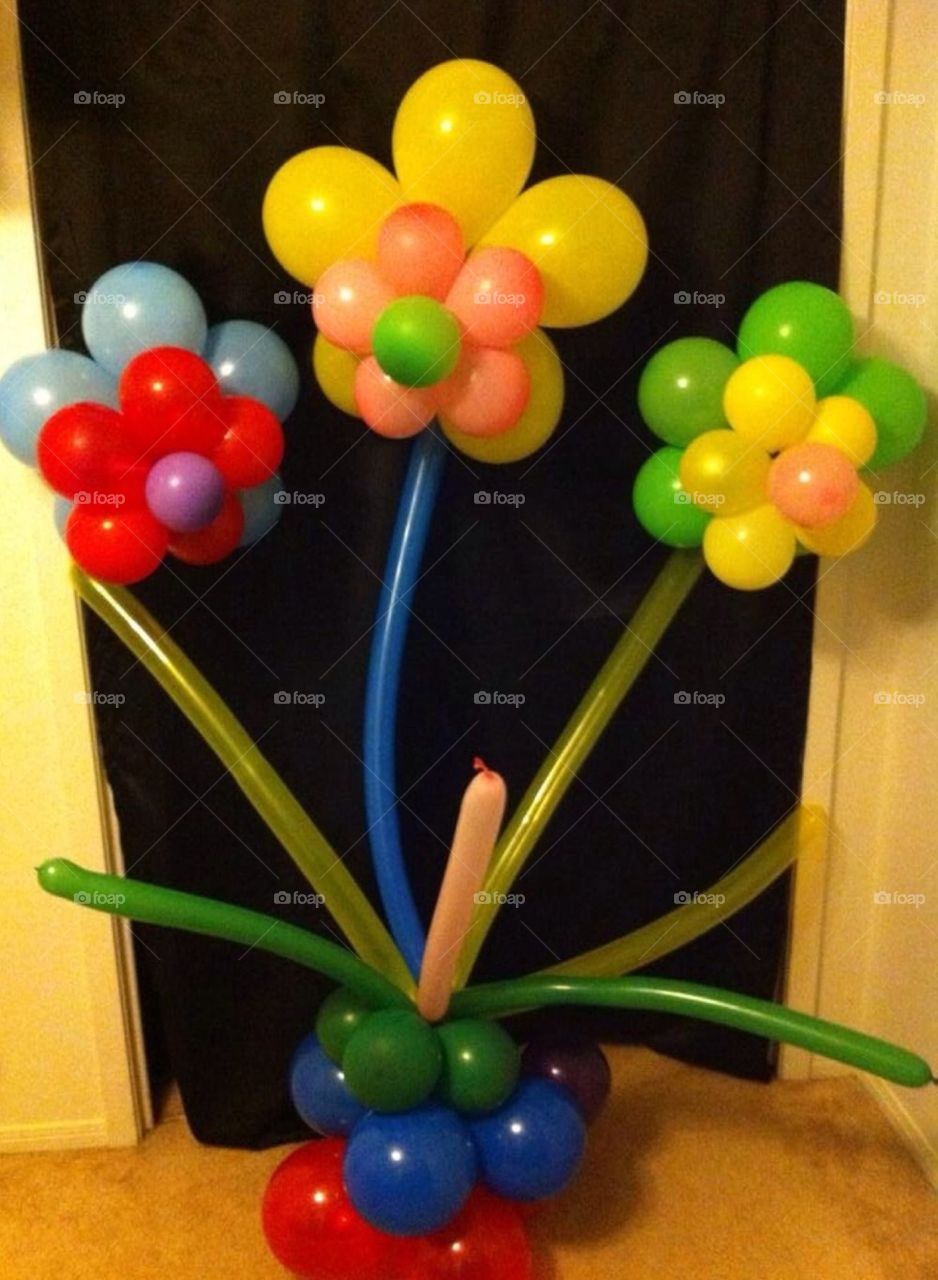 Balloon flowers 