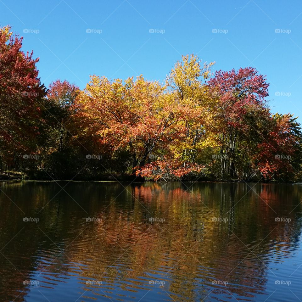 autumn on the river