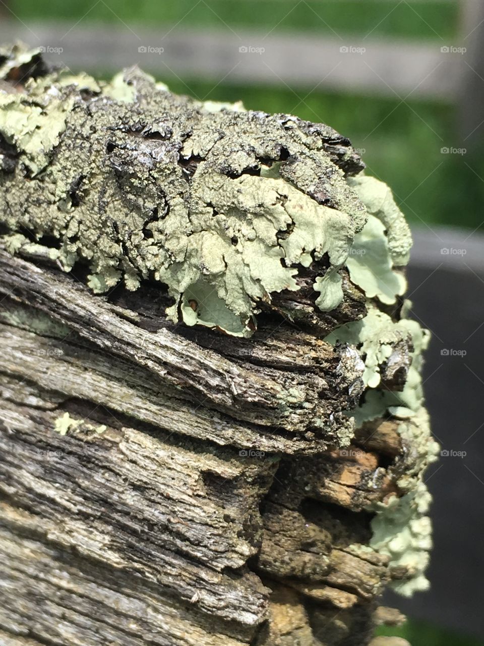 Beauty is Everywhere