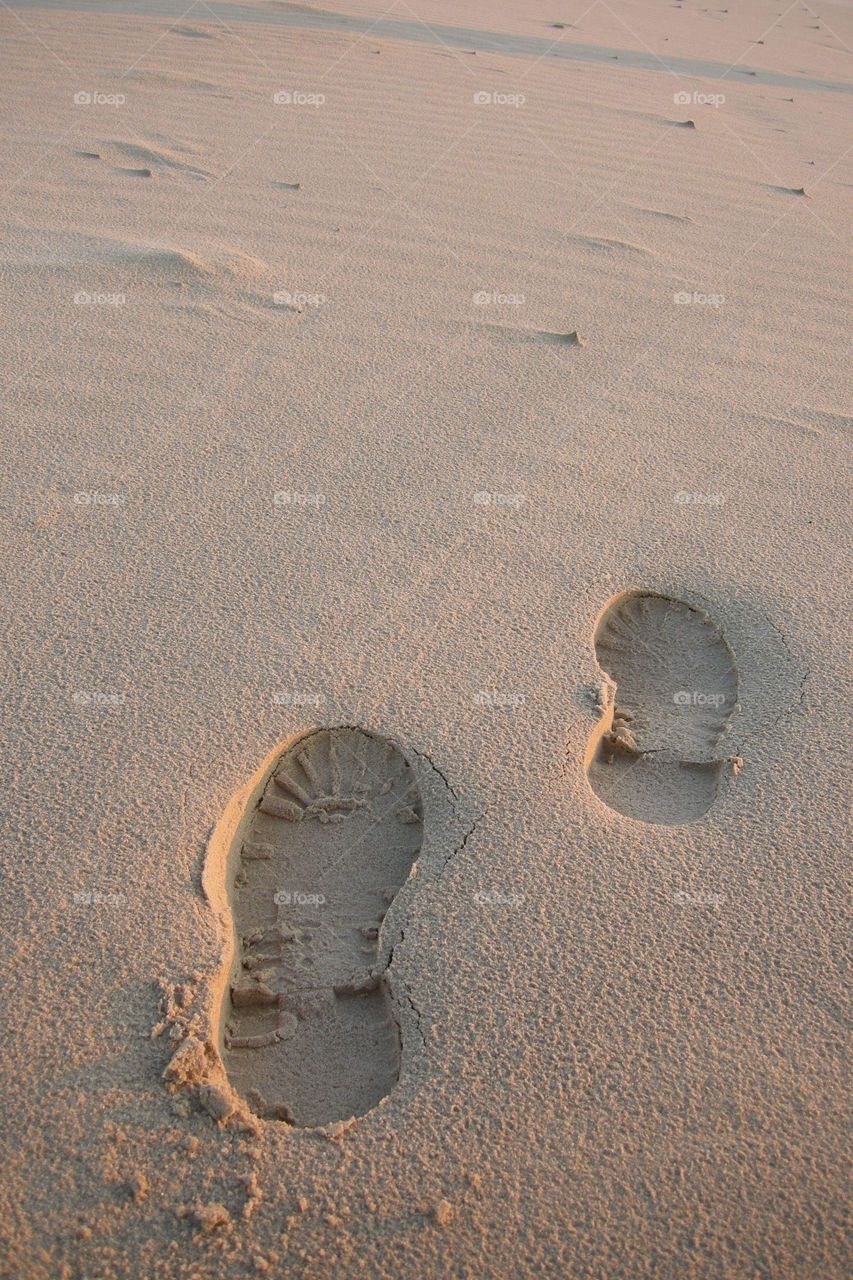 Walk on the beach. Everyone leaves a trail 🏖