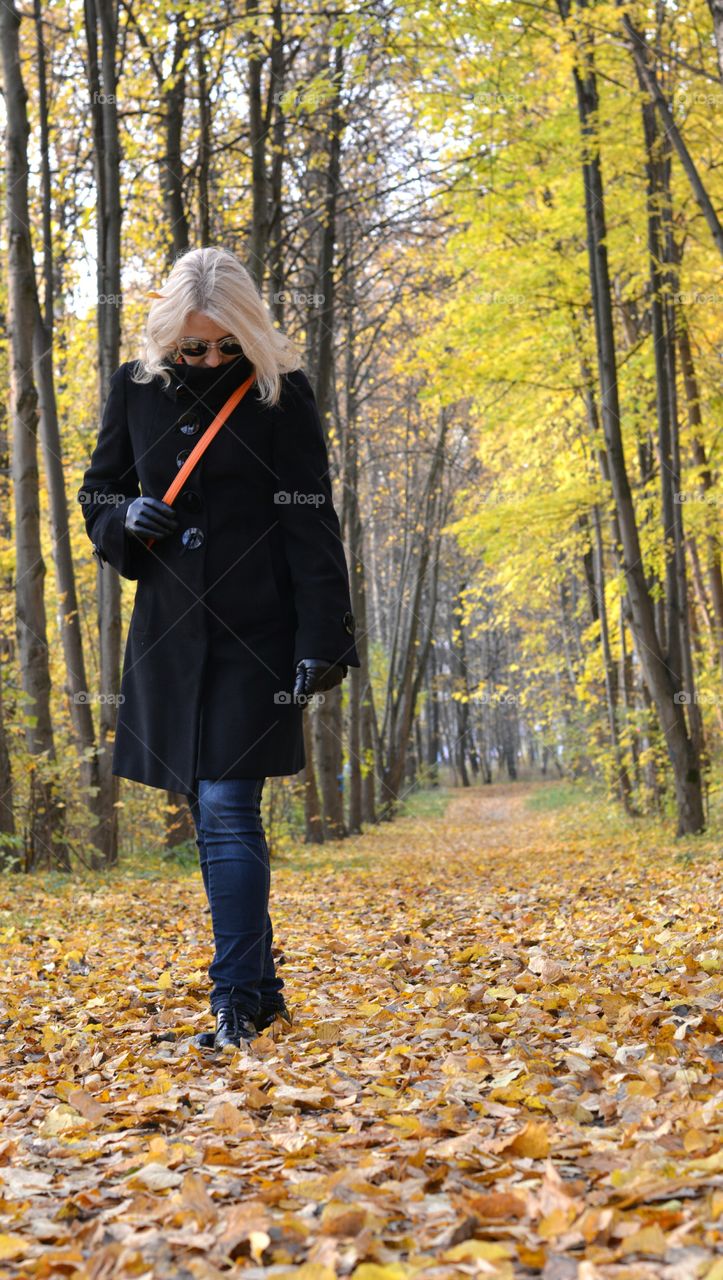 Fall, Wood, Nature, Leaf, Park