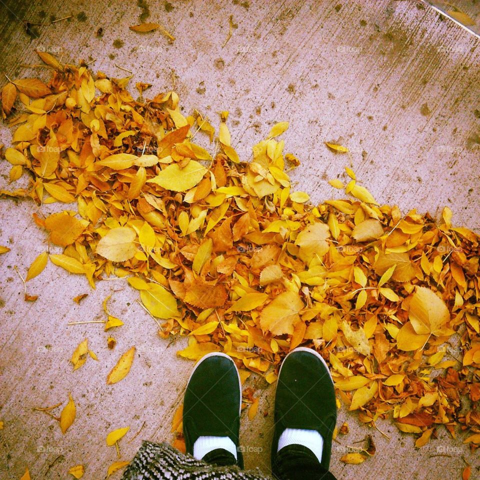 Fall 