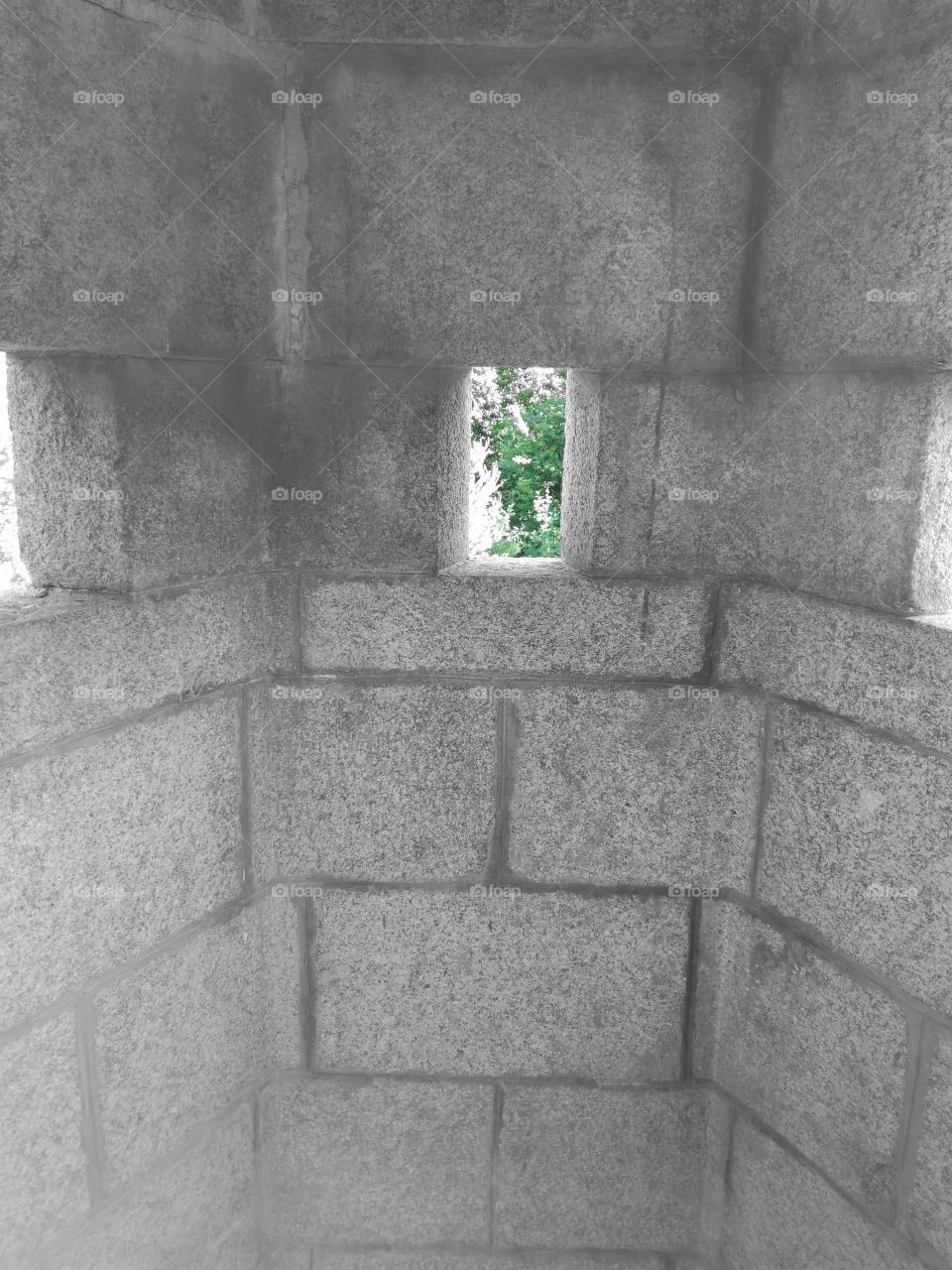 plante, tour, meurtrière