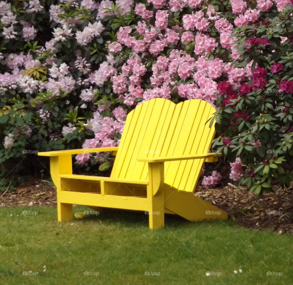 Yellow bench