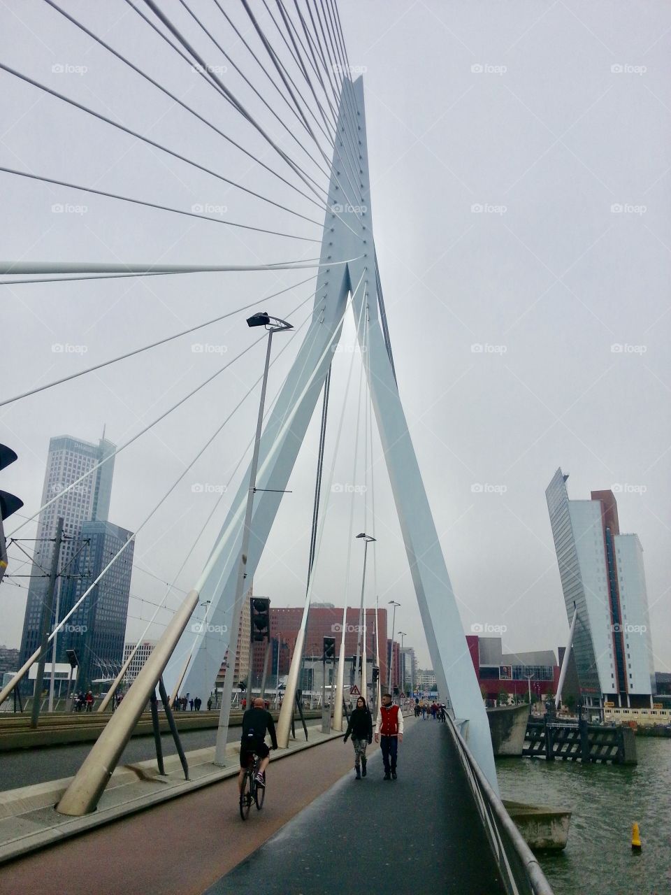 Erasmus bridge: Visit beautiful and modern Rotterdam