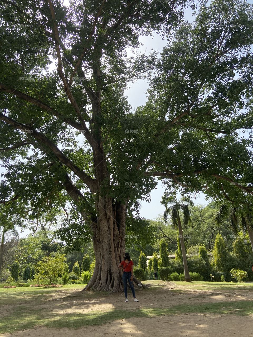 Heaven is under our feet as well as over our heads 