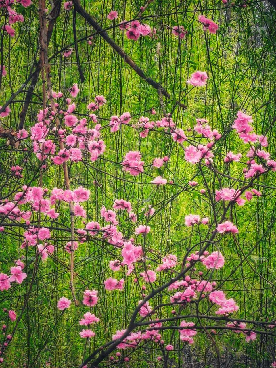 Colors always bring people different visual experiences and psychological impacts.