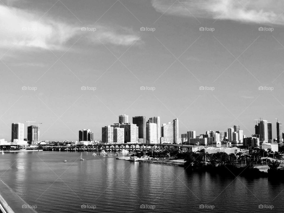 Miami Florida skyline