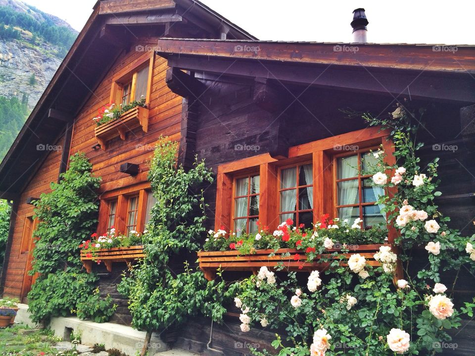 Flowering plants in front of a wooden cottage in Switzerland 
