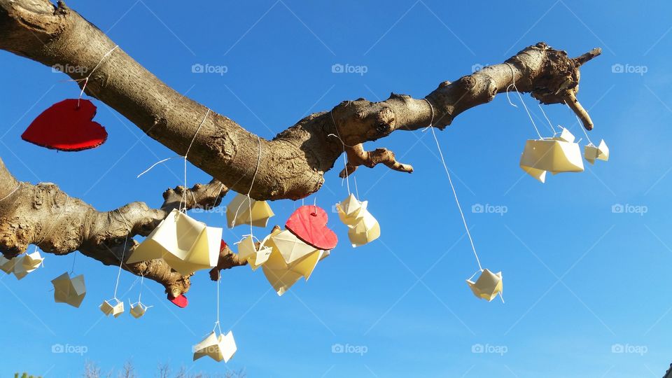 Heart shape and craft material hanging from tree