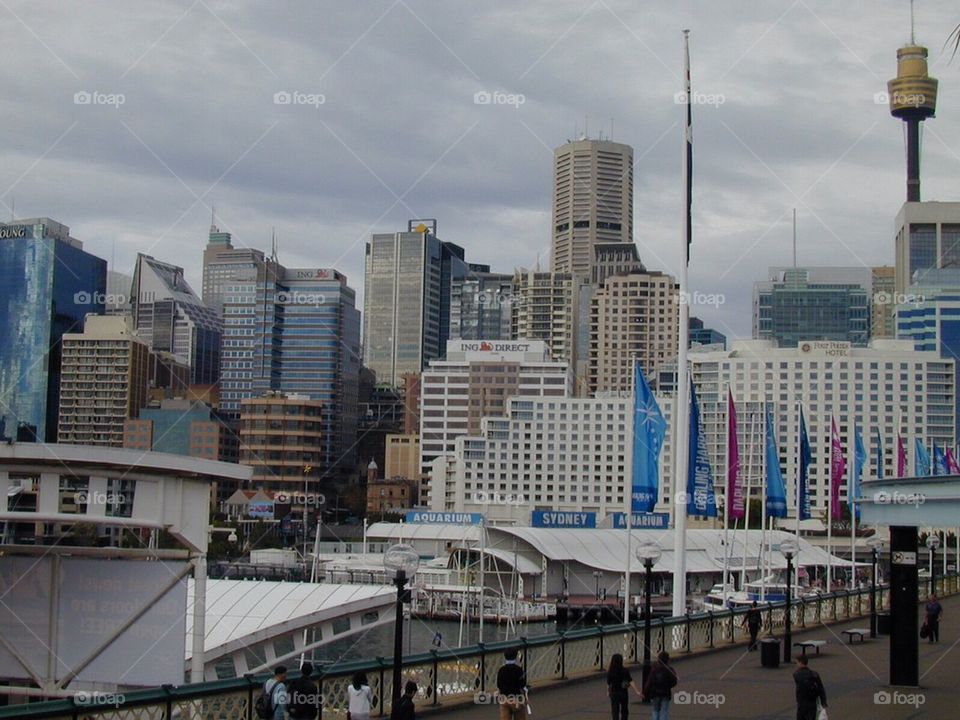 SYDNEY, AUSTRALIA THE SYDNEY HARBOUR WALK